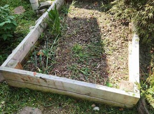 John P.'s turf care service result