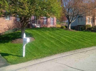 Micah M.'s lawn care services service result