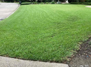 Roxanne S.'s lawn care service result