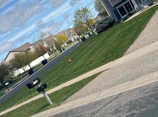 Anthony D.'s turf care service result