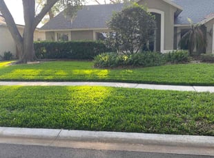 Zack R.'s lawn care service result