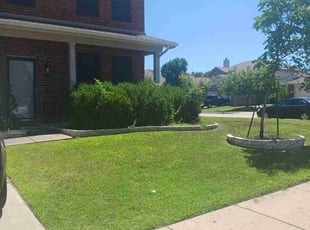 Nara C.'s turf maintenance service result