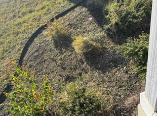 Thuy T.'s Flower Bed Weeding service result