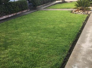 Jennivine C.'s grass maintenance service result