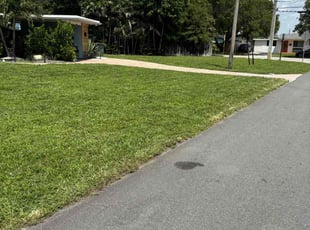 Dylan B.'s grass cutting service result