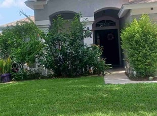 Chiquitta W.'s lawn care service result