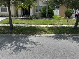 Marsha F.'s grass cutting service result