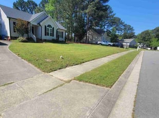 Janet J.'s turf care service result