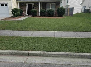 James M.'s lawn care service result