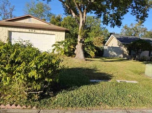 Tom S.'s grass cutting service result