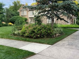 Paul D.'s grass cutting service result