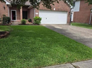 Deb C.'s turf care service result