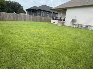Michael W.'s grass maintenance service result