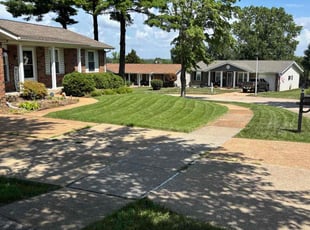 Darlene W.'s grass maintenance service result