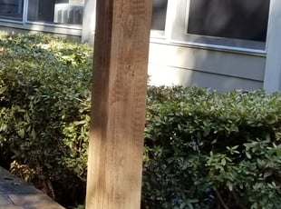 Ruth C.'s Bush Trimming service result
