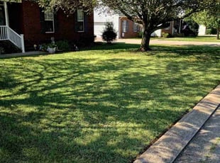 Jessica F.'s grass maintenance service result