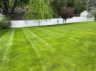 Mark G.'s lawn maintenance service result
