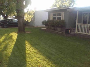Sonja N.'s lawn care service result
