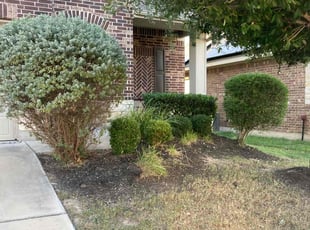 Jason V.'s Bush Trimming service result