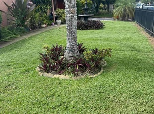 Susan T.'s lawn service service result