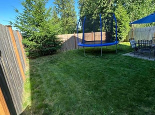Cameron A.'s lawn maintenance service result