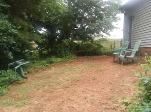 Eva J.'s Bush Trimming service result
