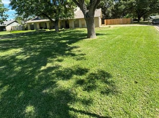 Vijay V.'s lawn care service result
