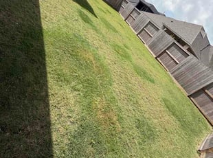 Alexander A.'s lawn service service result