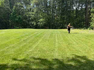 Madonna L.'s grass cutting service result