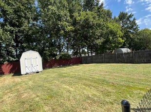 Michele F.'s turf maintenance service result