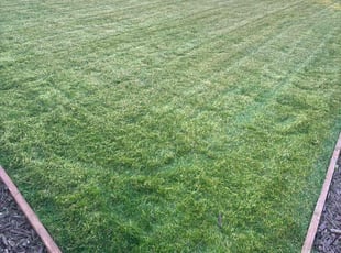 Karla R.'s yard care service result