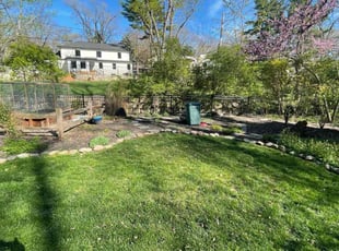 Roxanne H.'s lawn care services service result