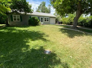 Thomas T.'s grass cutting service result