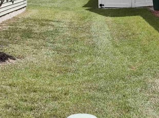 Rodney S.'s turf maintenance service result