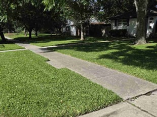 John B.'s lawn maintenance service result