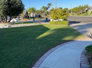 Valerie V.'s turf care service result