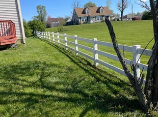 Sue L.'s turf maintenance service result