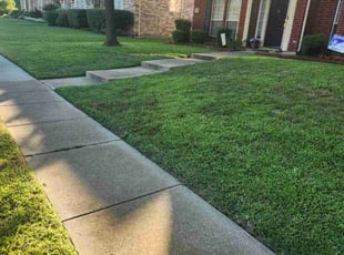 Tracy C.'s lawn care services service result