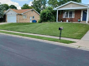 Aaliyah R.'s turf maintenance service result