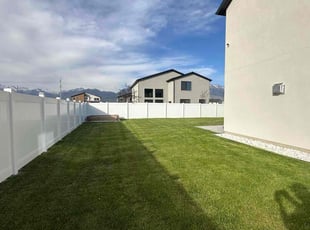 Doug D.'s turf care service result