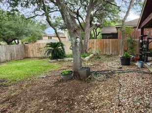 James M.'s grass cutting service result