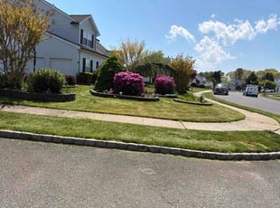 Joyce M.'s lawn care services service result