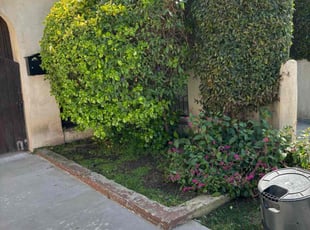 Khimen C.'s Bush Trimming service result