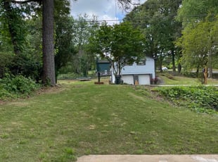 Iona D.'s lawn service service result