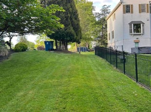 Lesley O.'s grass cutting service result