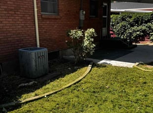 Alfred P.'s Bush Trimming service result