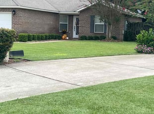Christina M.'s grass maintenance service result