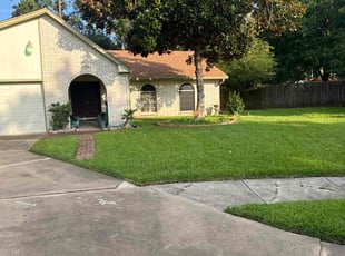 Lana C.'s lawn care service result