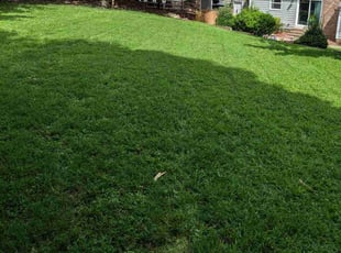Matthew K.'s lawn care service result