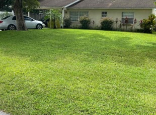 Karen C.'s grass cutting service result